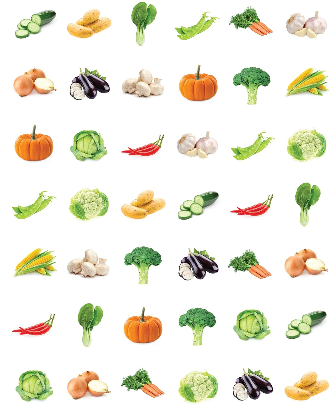 STICKER: VEGETABLE 1/2" - 6 SHEETS