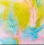 MARABOU FEATHERS: PASTEL ASSORTED .25 OZ