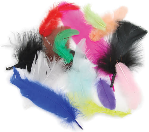 FEATHERS: BRIGHT ASSORTED  71 GRAMS