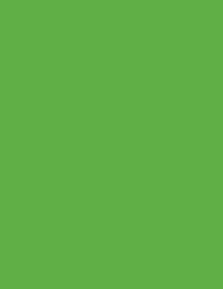 NEON PAPER  GREEN 8 1/2"X11" 100 SHEETS