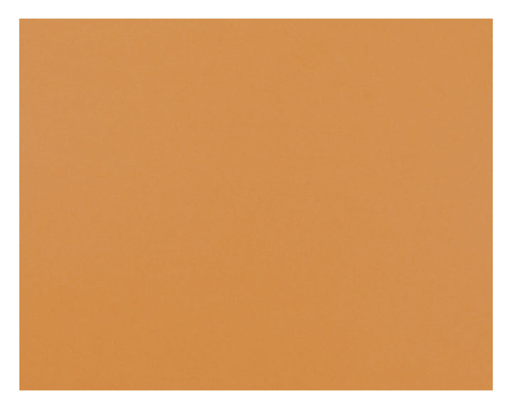 Oak Tag 22"x28" 100 Pack