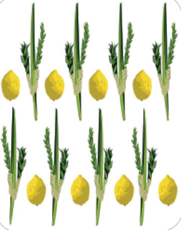 STICKERS: LULAV &amp; ESROG SET - 6 SHEETS