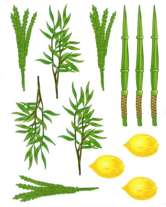 STICKERS: LULAV AND ESROG DRAWN