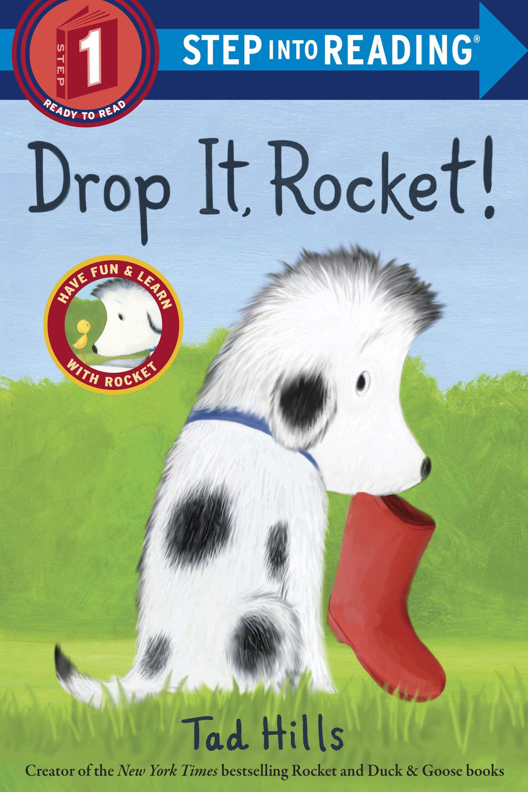 BOOK: DROP IT ROCKET