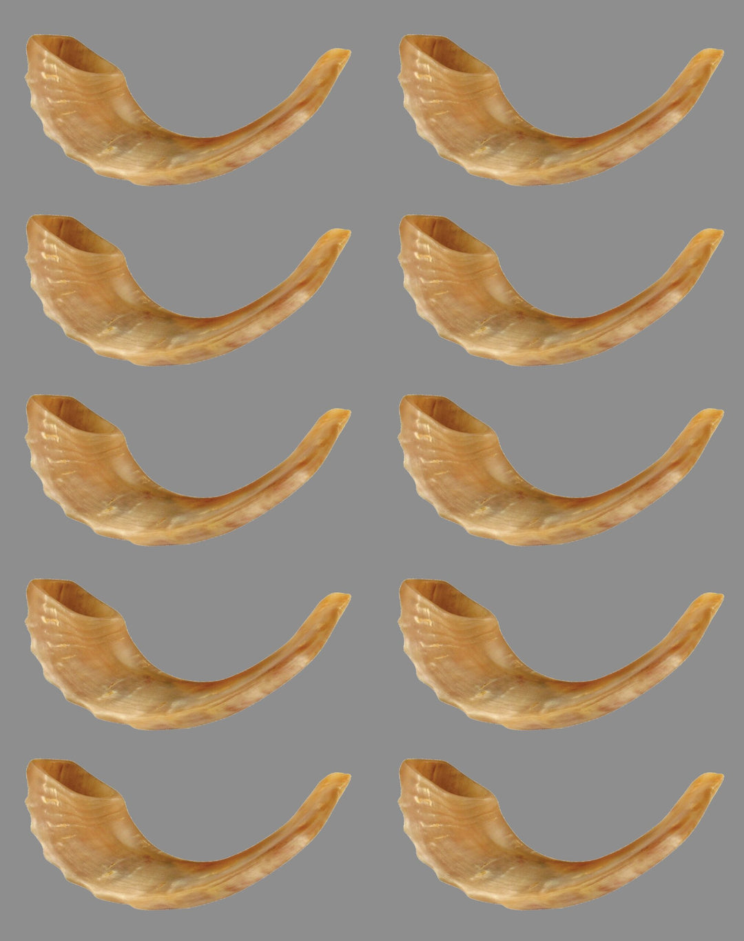 STICKER: SHOFAR 2"X1" - 6 SHEETS