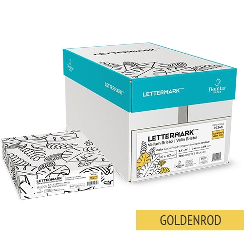 Vellum Bristol Cardstock 67lb 8.5"x11" 250 Pack